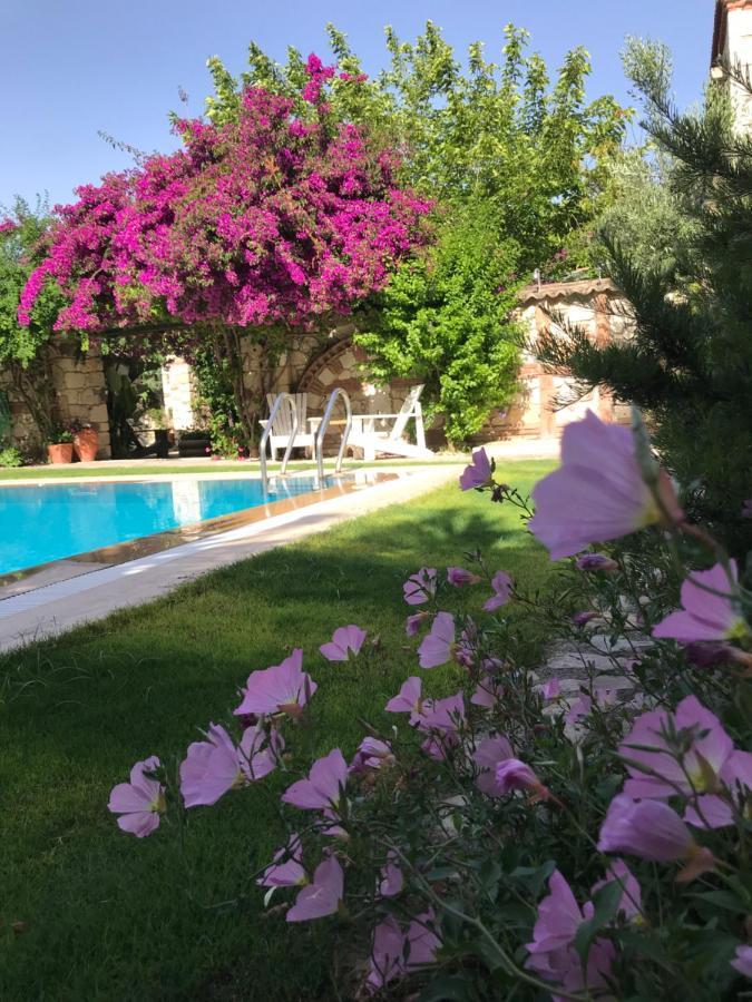 Alacati Zeytin Konak Hotel Εξωτερικό φωτογραφία