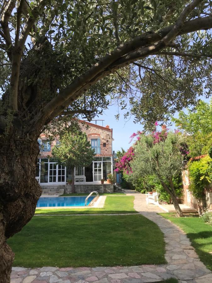 Alacati Zeytin Konak Hotel Εξωτερικό φωτογραφία