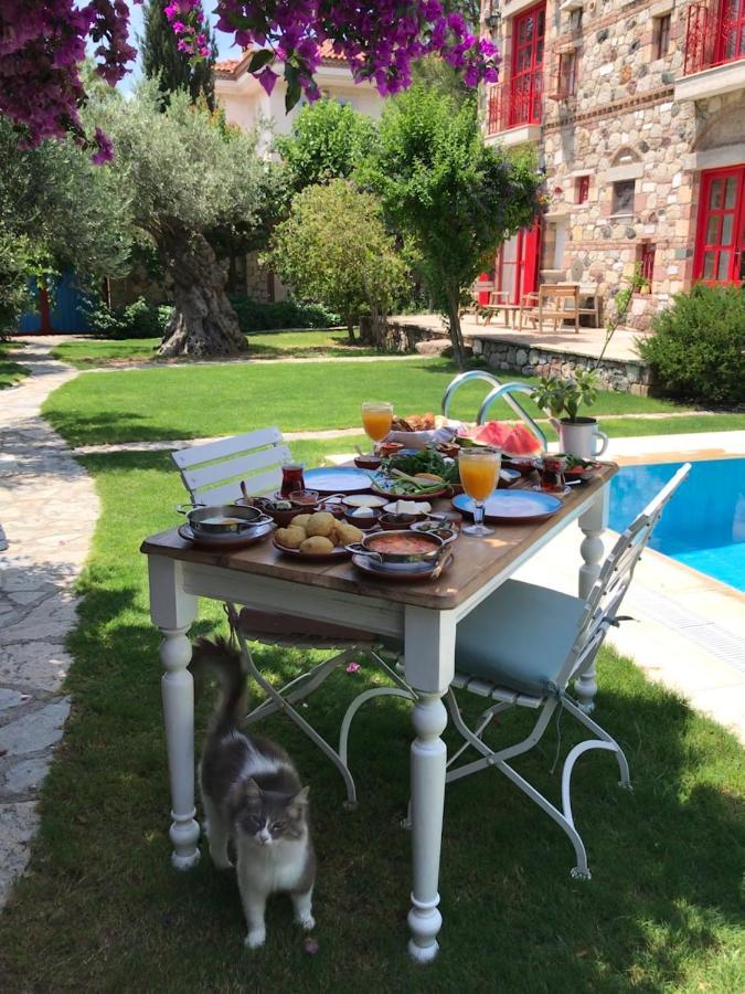 Alacati Zeytin Konak Hotel Εξωτερικό φωτογραφία