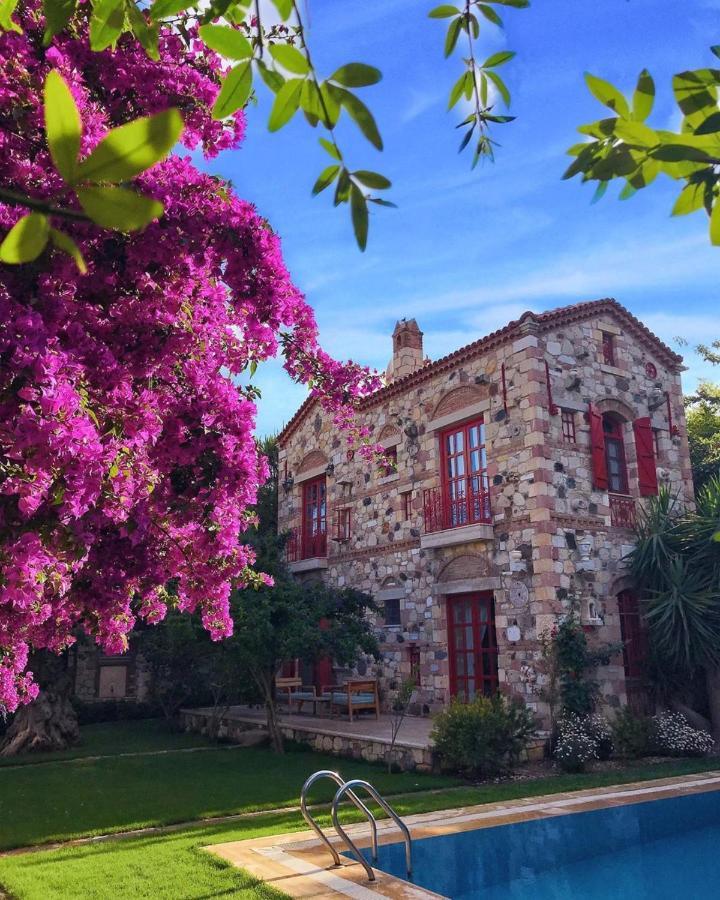 Alacati Zeytin Konak Hotel Εξωτερικό φωτογραφία