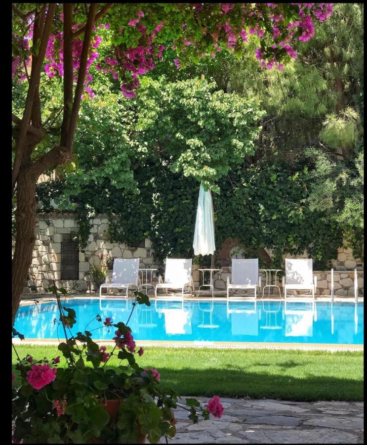 Alacati Zeytin Konak Hotel Εξωτερικό φωτογραφία