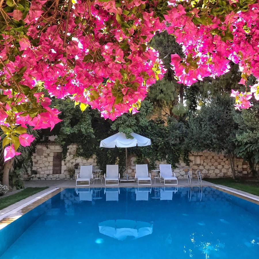 Alacati Zeytin Konak Hotel Εξωτερικό φωτογραφία