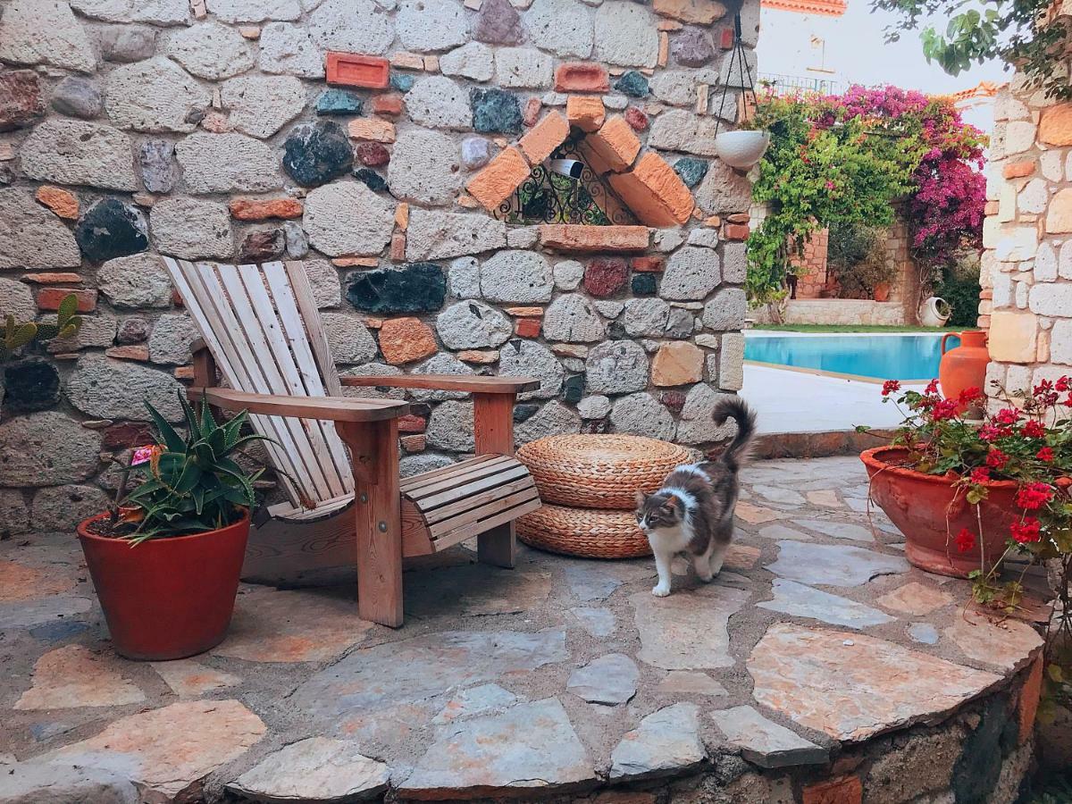 Alacati Zeytin Konak Hotel Εξωτερικό φωτογραφία